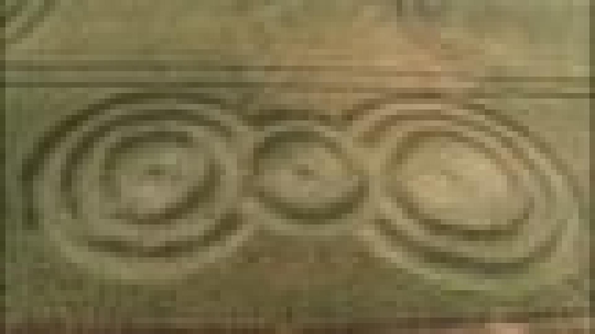 Crop circles à Momalle